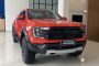 Ford Raptor 4×4 AT
